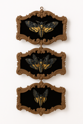 Dark Academia Moth Hanging Lenticular Halloween Decoration